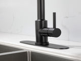 Single Handle High Arc Pull Out Kitchen Faucet,Single Level Stainless Steel Kitchen Sink Faucets 20417075