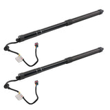 2Pcs Tailgate Hatch Lift Support Rear fit for Nissan Pathfinder 2017-2020 SKPL615064 19130028
