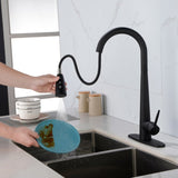 ZNTS Kitchen Faucets with Pull Down Sprayer, Kitchen Sink Faucet with Pull Out Sprayer, Fingerprint 88256761