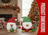 Set of 2 Lighted Gnome and Candy Cane Christmas Decorations, Pre-lit 2D Holiday Decor with 80 Warm 54892620