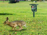 5 Modes Animal Repeller - Solar/USB Rechargeable, PIR Sensing, 3229Sq.ft Coverage, IP54 Waterproof, 17401052