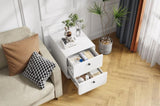 Modern Night Stand Storage Cabinet for Living Room Bedroom, Steel Cabinet with 2 Drawers,Bedside W252113552