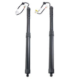2PCS Rear Power Liftgate Tailgate Lift Support for Toyota RAV4 Prime 2019-2021 71766552
