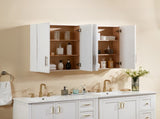 Wood Hanging Cabinet with Doors and Shelves W914P292873
