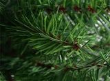 3 Feet Tabletop Unlit Christmas Tree 93061440