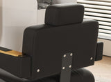 Professional Hydraulic Barber Chair - 360&deg Swivel with Adjustable Height, Stainless Steel W2700P318167
