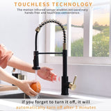 Touchless Kitchen Faucet,Hands Free Automatic Smart Kitchen Faucet Black Smart Kitchen Faucet W1932P156240