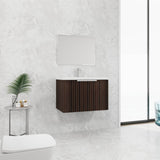 30 Inch Bathroom Vanity With Resin Sink,Soft Close Doors,Float Mounting Design W999P204951