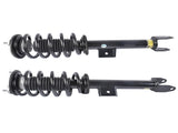 Set of 2 Front Shock Struts w/ Coil Spring Fits for Tesla Model 3 M3 RWD 2017-2021 104436401G 25890645