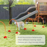 Dog agility training equipment 09097180