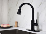 Single Handle Pull Down Kitchen Faucet with Dual Function Sprayhead 14563295