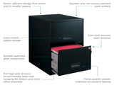 18" Deep 2 Drawer Letter Width Vertical File Cabinet, Black 75183146