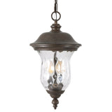 Rustic Outdoor Hanging Lantern, Weatherproof Vintage Pendant Light with Clear Glass Shade, W1340P209948