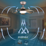 Light Pro 22 in. LED Indoor Coffee Smart Ceiling Fan with Remote Control T3177P284012