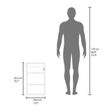 Medicine Cabinet 25.7" H, 1 Door, 3 Shelves, 1 Mirror, Black B097P250883