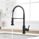 Kitchen Faucet with Pull Down Sprayer Black Stainless Steel Single Handle Pull Out Spring Sink W1932P224868