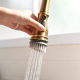 Gold Faucet with Pull Out Sprayer Brushed Gold Single Handle 1 Hole High Arc Pull Out W1932124131