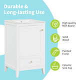 20" Bathroom Vanity with Sink, Bathroom Cabinet with Soft Closing Door, Storage Rack and A Drawer, N725P185452K