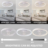 19.7 inches fan light RGB color lights three color temperature 6-speed adjustable wind power W1962P235208