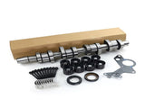Camshaft Lifter Kit for 2004-2006 Volkswagen New Beetle Jetta MK4 Golf BEW 038145215 71153053