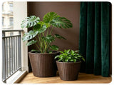 2-Piece PP Rattan Planter Set, 15 & 12 Tapered Square Flower Pots with Built-in Inner Pots & 21574417