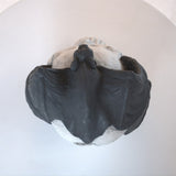 Fire Pit Demon Skull Gas Log for Ventless & Vent Free, Propane, Gel, Ethanol, Electric, Outdoor W2734P194125