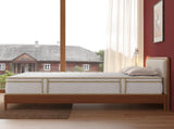 Queen Size Mattress 12 Inch Hybrid Mattress in a Box with Individually Pocketed Springs Medium Firm B372P396154