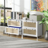 File Cabinet/ Storage cabinet 74438568