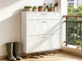 Shoe Storage Cabine 11834499