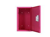 ZNTS 24" H Locker Cabinet, Metal Locker Cabinet with 1 Doors, Small Metal Locker,Lockable W396100786