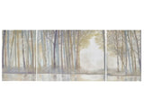 Triptych 3-piece Canvas Wall Art Set B03598818