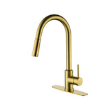 Kitchen Faucet with Pull Down Sprayer W2287P152910