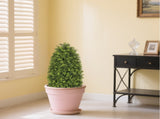 3FT Artificial Boxwood Cone Tree Faux Shrub for Outdoor Planter and Entryway Dcor 2pcs/set W2945P323221
