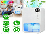 Small Household Dehumidifier for Bathroom Closet RV, RealTime Humidity Readout, 1.1L Tank Auto 84675922