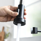 Commercial Black and Nickle Faucet with Pull Down Sprayer, Single Handle Single Lever W1932P172324