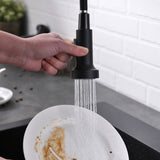 Kitchen Faucet with Pull Out Sprayer Brushed Nickel Stainless Steel Single Handle Kitchen Sink W1932130231