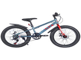 20 Inch Kids Bicycles , Fat Tire Mountain Bike for Boys and Girls Age 5 Years ,7-Speed Dual-Disc W1019P203875