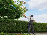 2-in-1 Cordless Pole Saw & Handheld Chainsaw, 1200W Brushless Motor with 23000mAh Batteries, 13FT 06131528