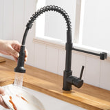 Commercial Black Kitchen with Pull Down Sprayer, Single Handle Single Lever Kitchen Sink W1932P171816