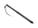 Tailgate Power Lift Supports fit for Lexus RX350 RX450h 3.5L V6 2017-2019 6892048031 41133629