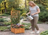 2-in-1 Wooden Raised Garden Bed with Trellis, Efficient Drainage System for Climbing Plants & 60342727
