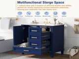 30" Bathroom Vanity , Modern Bathroom Cabinet with Sink Combo Set, Bathroom Storage Cabinet with a WF321698AAC
