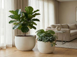 Round Concrete Planter Set of 2, Large Outdoor Indoor Handmade Rustic Decorative Planter Pots with W347P465313