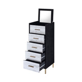 Black and Silver 4-drawer Jewelry Armoire with Lift-top B062P181349