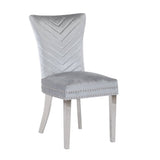 ZNTS Eva 2 Piece Stainless Steel Legs Chair Finish with Velvet Fabric in Silver 733569295678