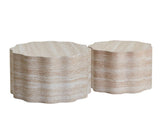 Set of 2 Round Coffee Tables for Living Room, Faux Mars Pattern Modern Minimalist Side Tables Accent W3040P382320