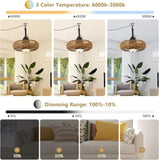 Waterproof Outdoor Ceiling Fan with Lights Remote Control W2738P242334