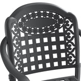 Cast Aluminum Patio Dining Chair 2PCS With Black Frame and Cushions In Random Colors W1710P166004