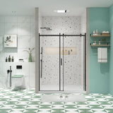 Glass shower door, sliding door, with 5/16" tempered glass and Matted Black finish 6074 W2122P167013