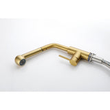 Single Handle Kitchen Sink Faucet with Pull Out Sprayer W2287P154031